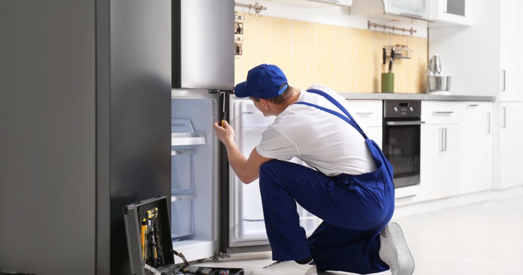 The Professionals' Role In Kitchen Maintenance and Care